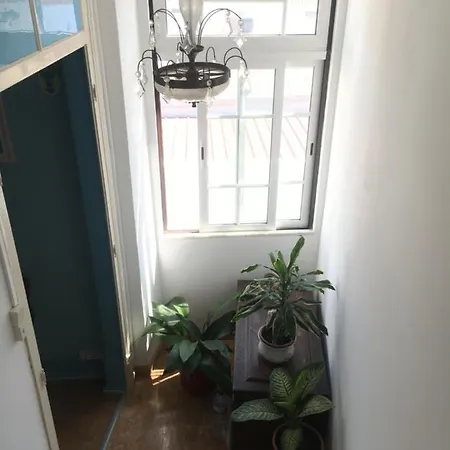 Casa Netas *